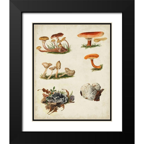 Mushroom Species X Black Modern Wood Framed Art Print with Double Matting by Vision Studio