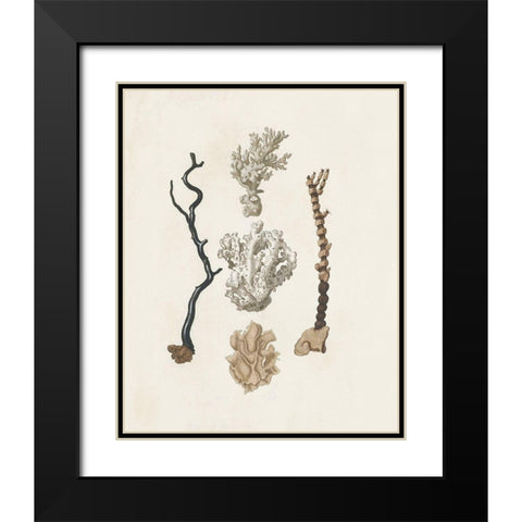 Knorr Shells And Coral V Black Modern Wood Framed Art Print with Double Matting by Knorr
