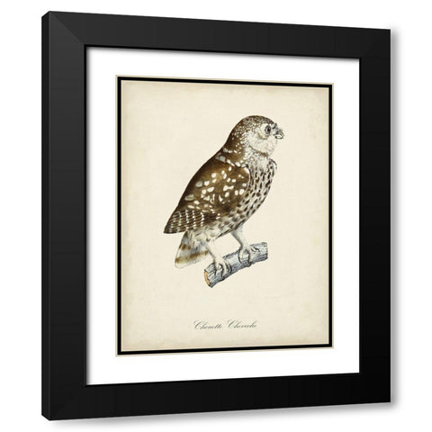 French Owls I Black Modern Wood Framed Art Print with Double Matting by de Langlois
