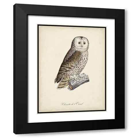 French Owls V Black Modern Wood Framed Art Print with Double Matting by de Langlois