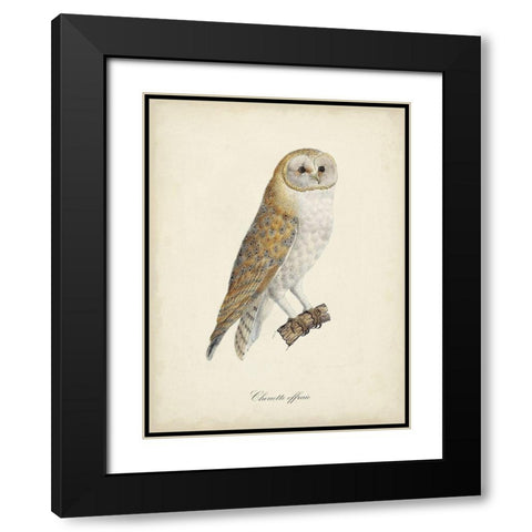 French Owls VI Black Modern Wood Framed Art Print with Double Matting by de Langlois