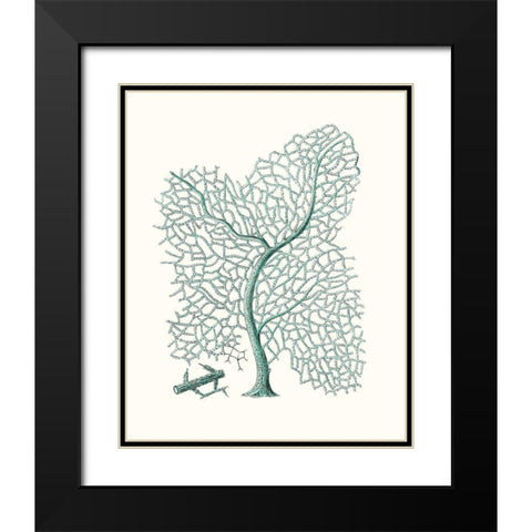 Antique Coastal Coral II Black Modern Wood Framed Art Print with Double Matting by Esper, Johann