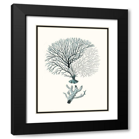 Antique Coastal Coral III Black Modern Wood Framed Art Print with Double Matting by Esper, Johann