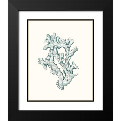 Antique Coastal Coral IV Black Modern Wood Framed Art Print with Double Matting by Esper, Johann