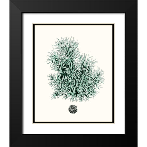 Antique Coastal Coral V Black Modern Wood Framed Art Print with Double Matting by Esper, Johann