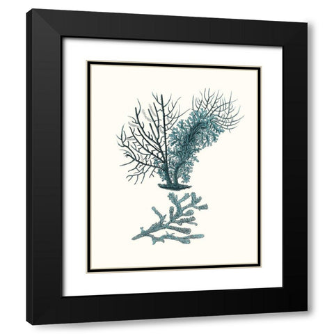 Antique Coastal Coral VI Black Modern Wood Framed Art Print with Double Matting by Esper, Johann