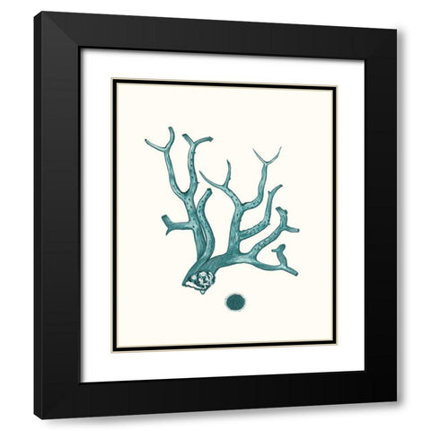 Antique Coastal Coral IX Black Modern Wood Framed Art Print with Double Matting by Esper, Johann