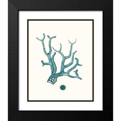 Antique Coastal Coral IX Black Modern Wood Framed Art Print with Double Matting by Esper, Johann