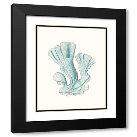 Antique Coastal Coral XI Black Modern Wood Framed Art Print with Double Matting by Esper, Johann