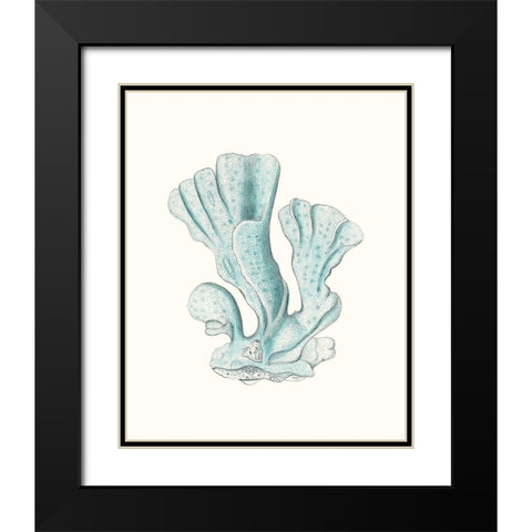 Antique Coastal Coral XI Black Modern Wood Framed Art Print with Double Matting by Esper, Johann
