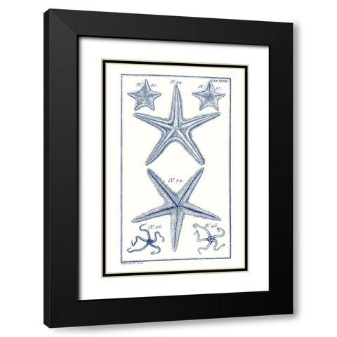 Blue Sea Stars I Black Modern Wood Framed Art Print with Double Matting by Vision Studio