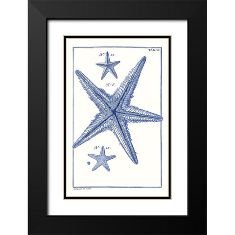 Blue Sea Stars III Black Modern Wood Framed Art Print with Double Matting by Vision Studio