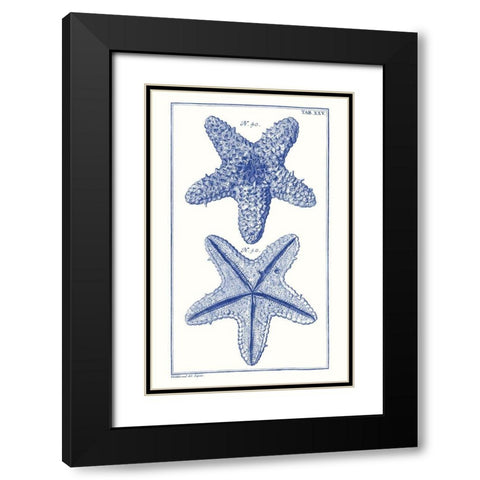 Blue Sea Stars IV Black Modern Wood Framed Art Print with Double Matting by Vision Studio