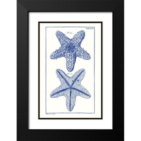 Blue Sea Stars IV Black Modern Wood Framed Art Print with Double Matting by Vision Studio