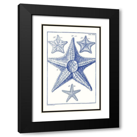 Blue Sea Stars VI Black Modern Wood Framed Art Print with Double Matting by Vision Studio