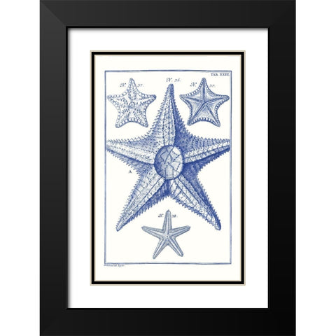 Blue Sea Stars VI Black Modern Wood Framed Art Print with Double Matting by Vision Studio