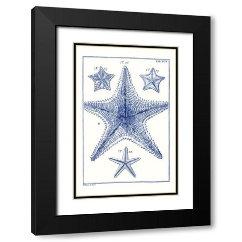 Blue Sea Stars VIII Black Modern Wood Framed Art Print with Double Matting by Vision Studio