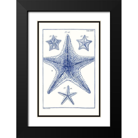 Blue Sea Stars VIII Black Modern Wood Framed Art Print with Double Matting by Vision Studio