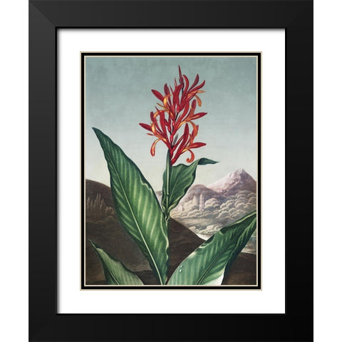 Temple of Flora I Black Modern Wood Framed Art Print with Double Matting by Thornton, Dr. Robert J.