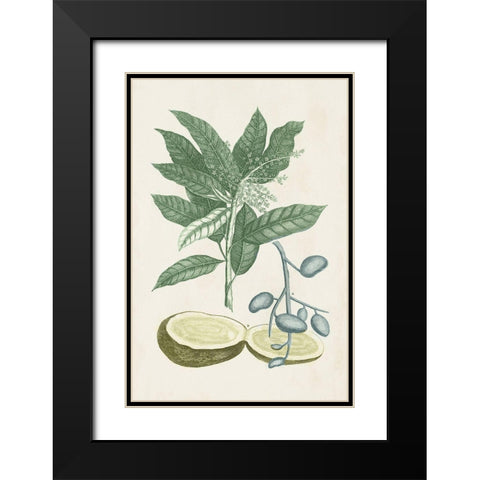 Buchoz Tropicals IV Black Modern Wood Framed Art Print with Double Matting by Vision Studio