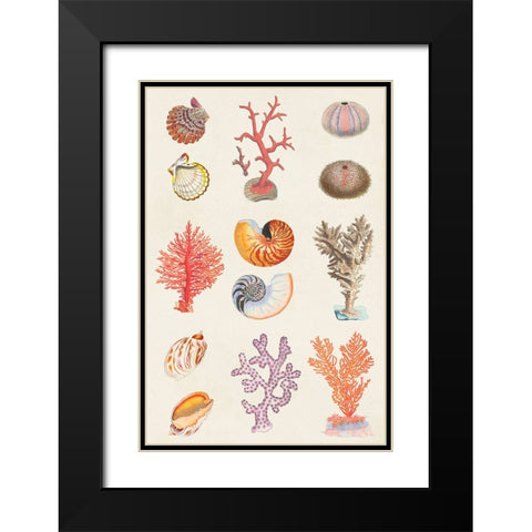Coral And Shell Collage I Black Modern Wood Framed Art Print with Double Matting by Vision Studio
