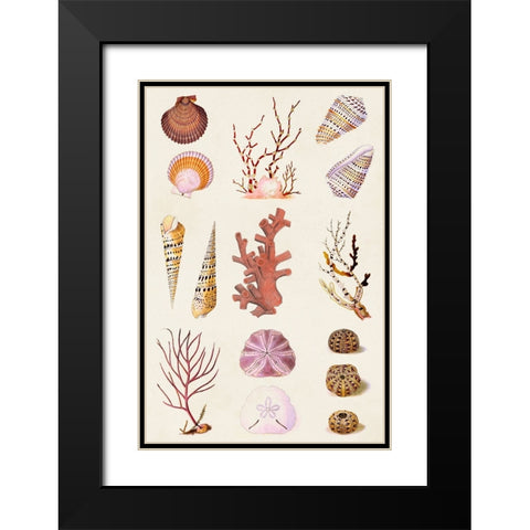 Coral And Shell Collage II Black Modern Wood Framed Art Print with Double Matting by Vision Studio