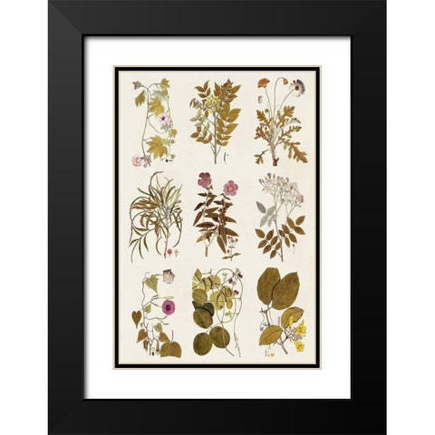 Antique Floral Grid II Black Modern Wood Framed Art Print with Double Matting by Vision Studio