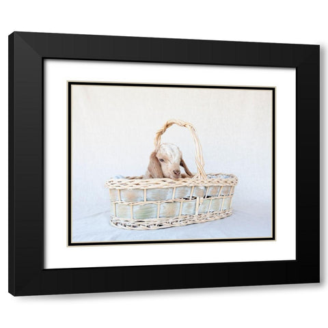 Friday in Basket II Black Modern Wood Framed Art Print with Double Matting by Soderman, Tania