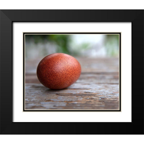 Egg on Wood Black Modern Wood Framed Art Print with Double Matting by Soderman, Tania