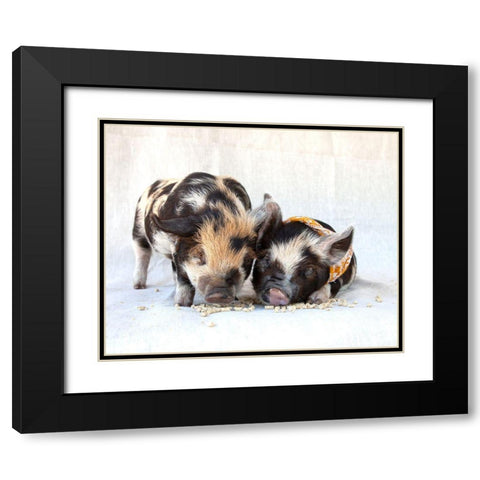 Fiona And Ferdinand II Black Modern Wood Framed Art Print with Double Matting by Soderman, Tania
