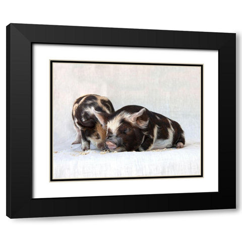 Fiona And Ferdinand III Black Modern Wood Framed Art Print with Double Matting by Soderman, Tania
