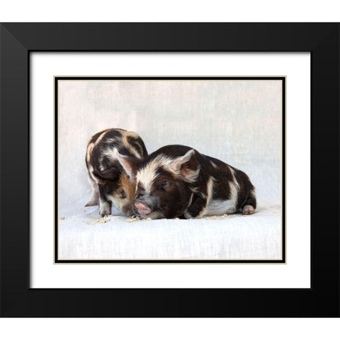 Fiona And Ferdinand III Black Modern Wood Framed Art Print with Double Matting by Soderman, Tania