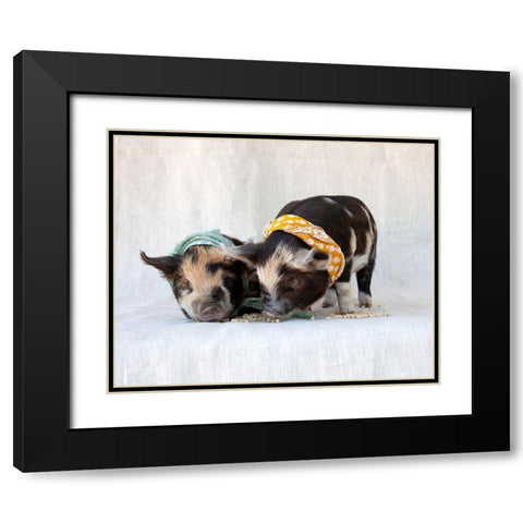 Fiona And Ferdinand IV Black Modern Wood Framed Art Print with Double Matting by Soderman, Tania