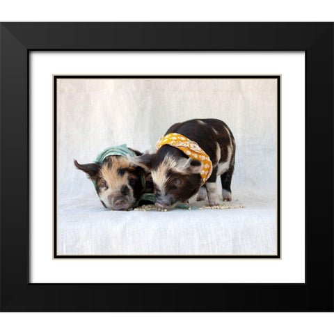 Fiona And Ferdinand IV Black Modern Wood Framed Art Print with Double Matting by Soderman, Tania