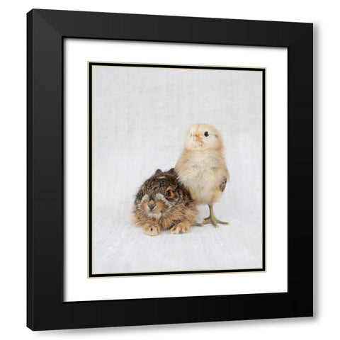 Chick And Baby Rabbit Black Modern Wood Framed Art Print with Double Matting by Soderman, Tania