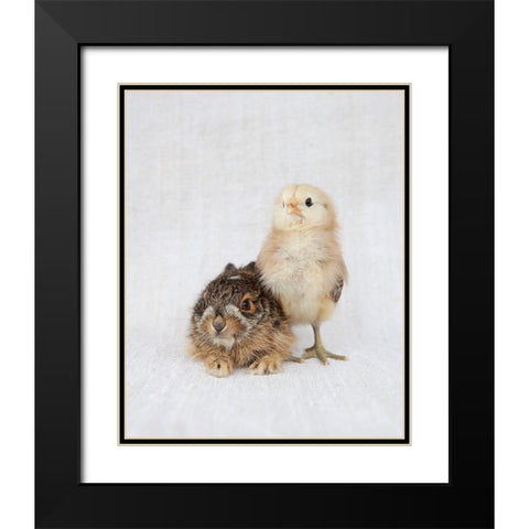 Chick And Baby Rabbit Black Modern Wood Framed Art Print with Double Matting by Soderman, Tania
