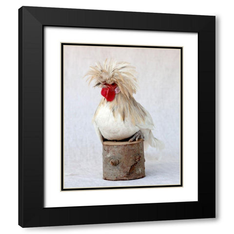 Rod the Rooster I Black Modern Wood Framed Art Print with Double Matting by Soderman, Tania