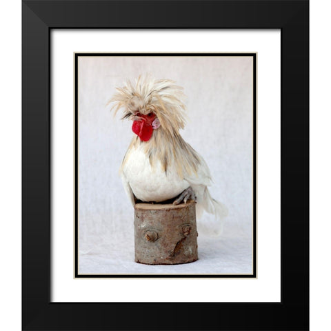 Rod the Rooster I Black Modern Wood Framed Art Print with Double Matting by Soderman, Tania