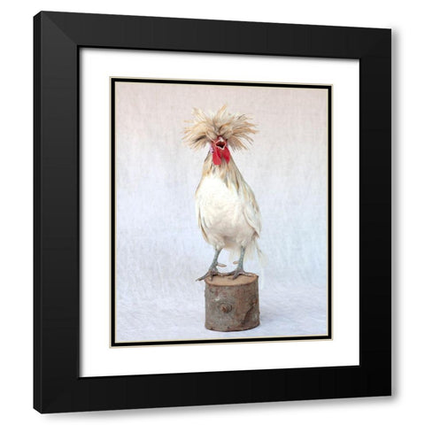 Rod the Rooster III Black Modern Wood Framed Art Print with Double Matting by Soderman, Tania