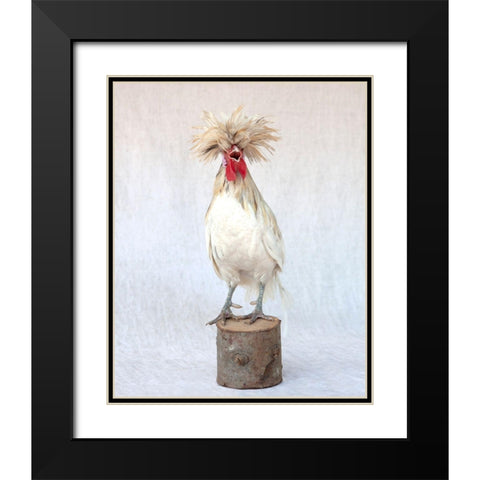 Rod the Rooster III Black Modern Wood Framed Art Print with Double Matting by Soderman, Tania