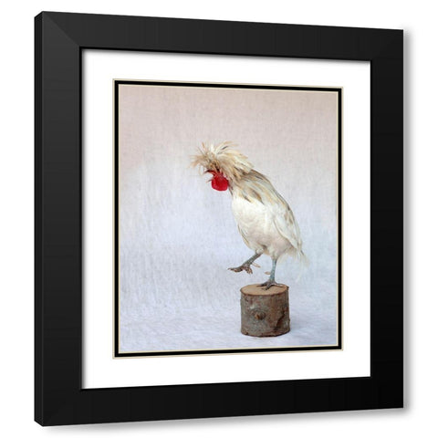 Rod the Rooster IV Black Modern Wood Framed Art Print with Double Matting by Soderman, Tania