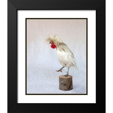 Rod the Rooster IV Black Modern Wood Framed Art Print with Double Matting by Soderman, Tania
