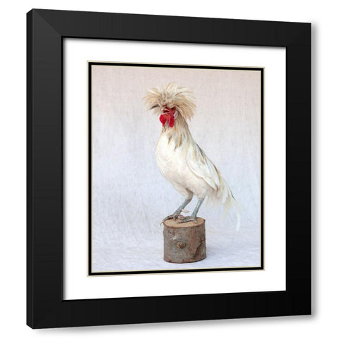 Rod the Rooster V Black Modern Wood Framed Art Print with Double Matting by Soderman, Tania