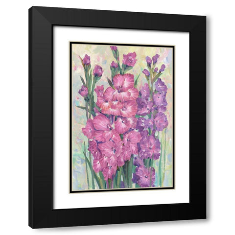 Gladiolas Blooming I Black Modern Wood Framed Art Print with Double Matting by OToole, Tim