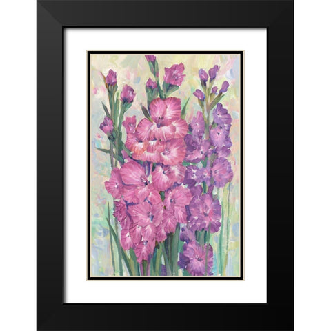 Gladiolas Blooming I Black Modern Wood Framed Art Print with Double Matting by OToole, Tim