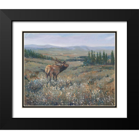 Western Wildlife I Black Modern Wood Framed Art Print with Double Matting by OToole, Tim