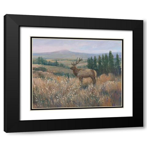 Western Wildlife II Black Modern Wood Framed Art Print with Double Matting by OToole, Tim