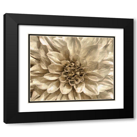 Neutral Wall Flower I Black Modern Wood Framed Art Print with Double Matting by Saunders, Alonzo