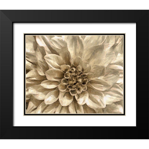 Neutral Wall Flower I Black Modern Wood Framed Art Print with Double Matting by Saunders, Alonzo