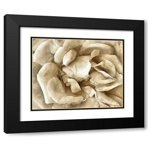 Neutral Wall Flower II Black Modern Wood Framed Art Print with Double Matting by Saunders, Alonzo